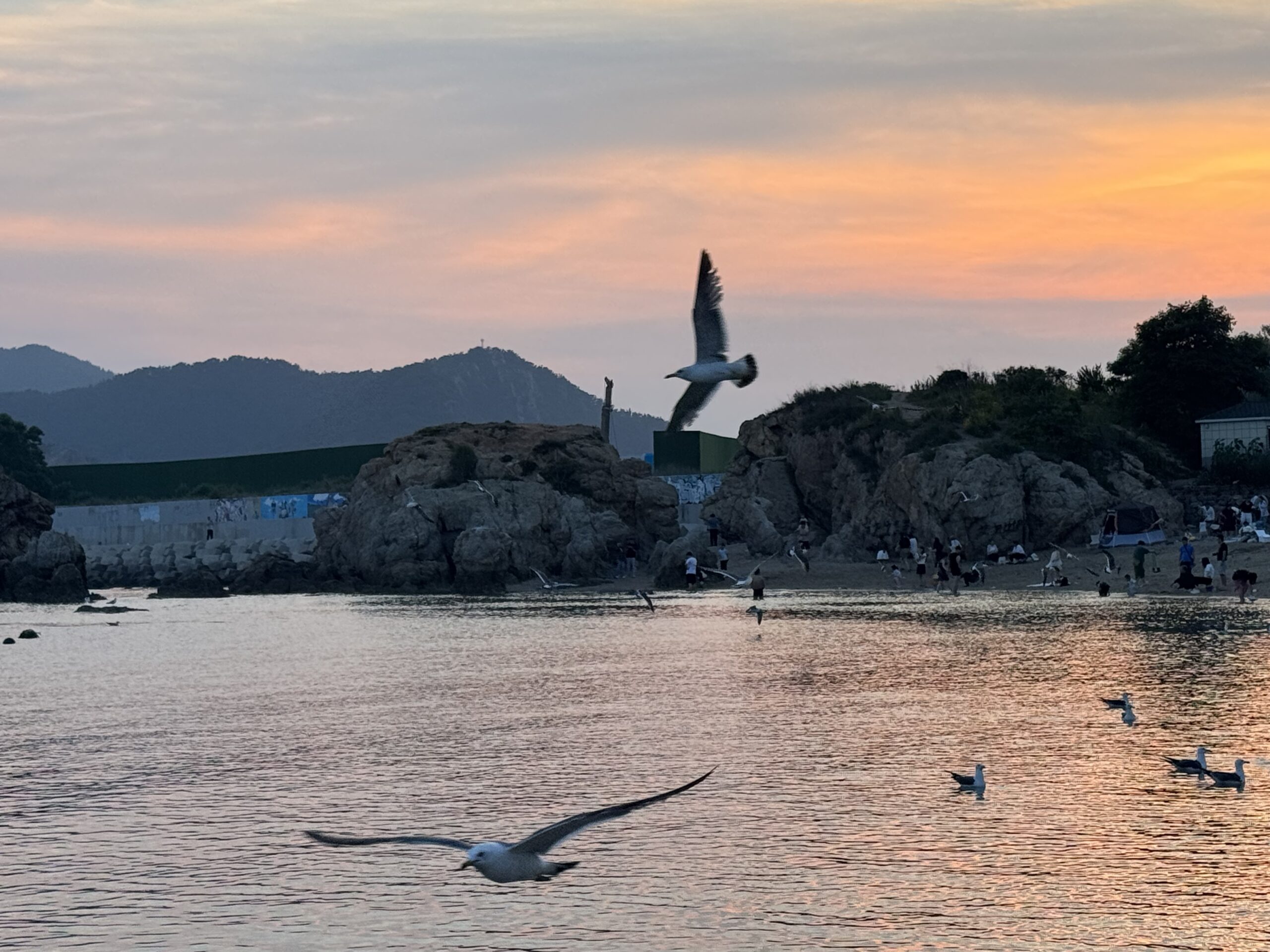 Art Exhibition, “Twilight Flight,” Museo ning Angeles